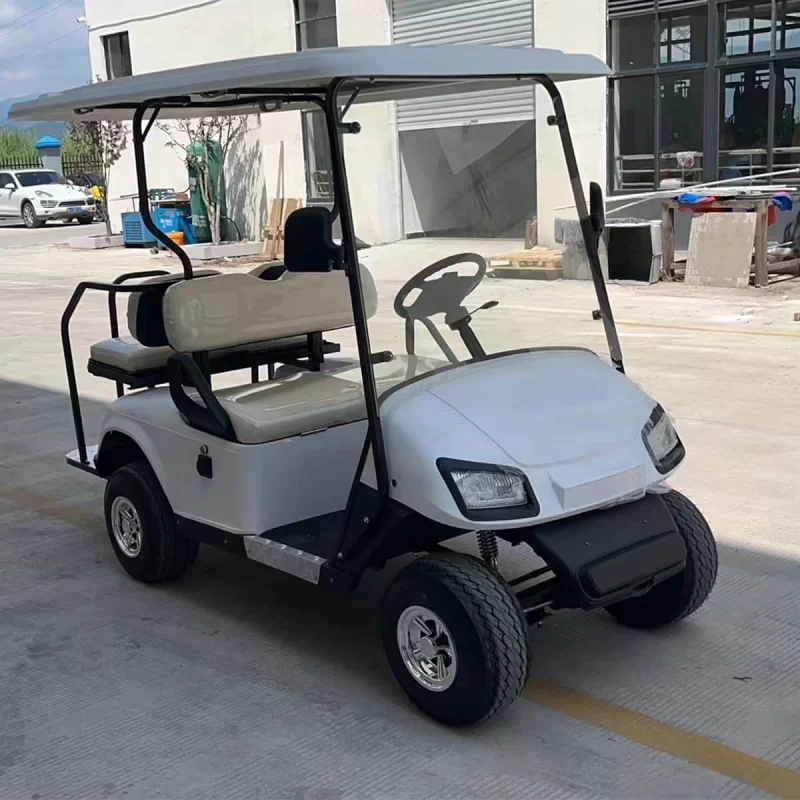 2+2 seater golf cart
