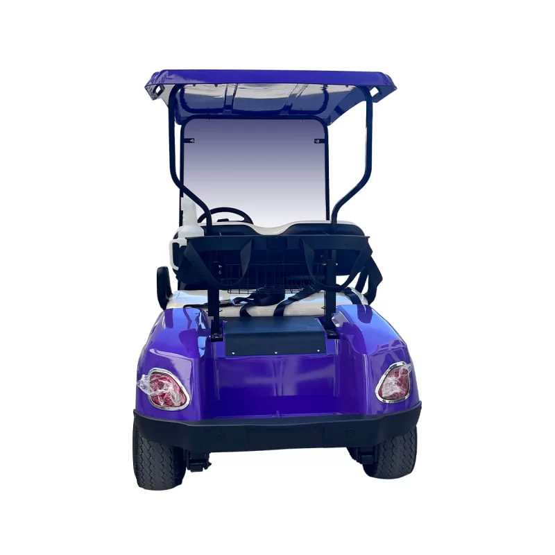2 seats golf cart