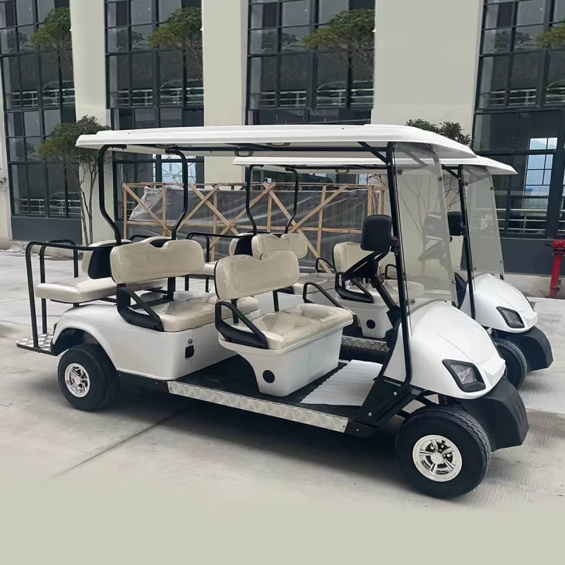 4+2 seater golf cart