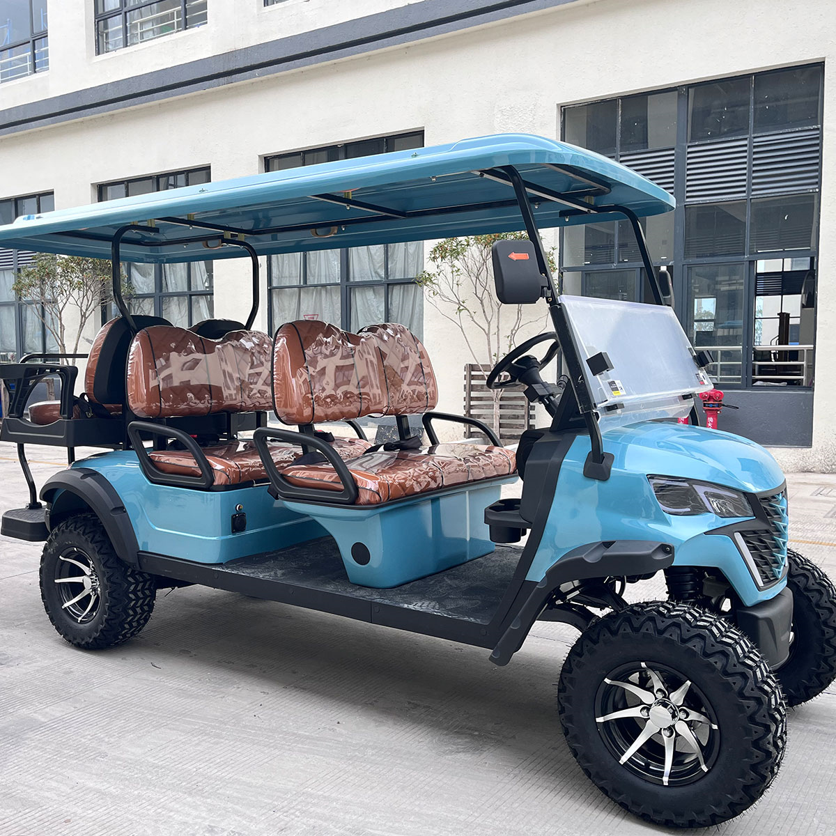 4+2 seater golf cart