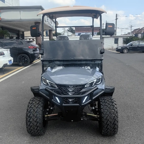 2 seater lifted golf cart